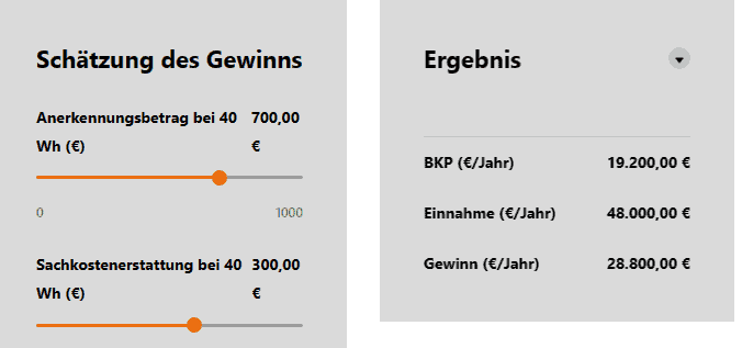 Verdienst einer Tagesmutter